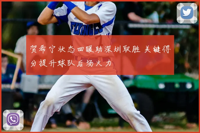 贺希宁状态回暖助深圳取胜 关键得分提升球队后场火力