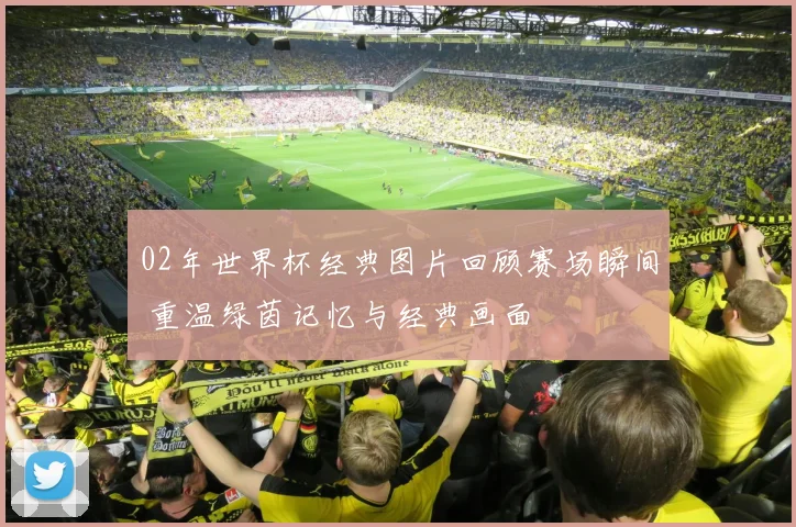 02年世界杯经典图片回顾赛场瞬间 重温绿茵记忆与经典画面